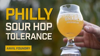 Philly Sour IPA | Philly Sour Hop Tolerance | Anvil Foundry | EP36