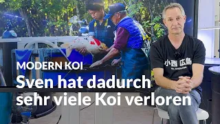 Vorsicht vor permanenten Wasserzulauf | Modern Koi Blog #6670