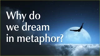 Why do we dream in metaphor? | Human Givens