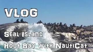 VLOG Seal Island - Hout Bay - Boat Trip with Nauticat