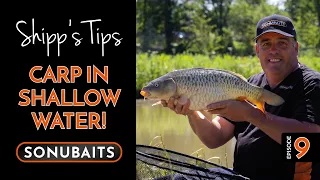 SHIPP'S TIPS - Episode 9 - Carp In Shallow Water!