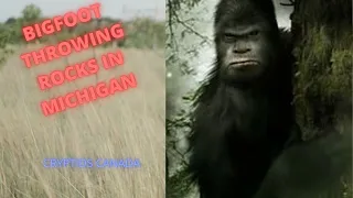 EPISODE 141 BIGFOOT THROWING ROCKS IN MICHIGAN (CORRECTION)