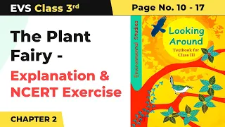 Class 3 EVS Chapter 2 | The Plant Fairy - Explanation & NCERT Exercise (Pg No. 10-17)