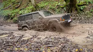 Jeep XJ & Hyunday Terracan In The Forest On A Rainy Day