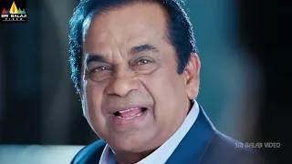 Legend Movie Scenes | Brahmanandam Comedy with Balakrishna Family | Latest Telugu Scenes