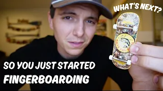 So You Just Started Fingerboarding!