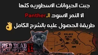 Red Dead Redemption 2 MASTER HUNTER 10 Find and kill the legendary panther "Giaguaro"