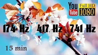 Positive vibes 🌺 Instrumental music ♩ Solfeggio frequencies 174 Hz, 417 Hz, 741 Hz 🌺 Relax ♩ Detox