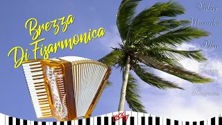 Brezza di Fisarmonica | 2 ore Mix Liscio Folk Tradizionale 2023 [Valzer, Polka, Tango]
