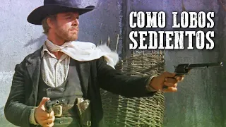 Como Lobos Sedientos | Western Pelicula completa en español | Vaqueros