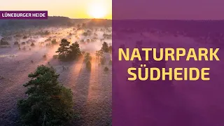 Naturpark Südheide | einzigartig und ungeschliffen