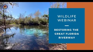 Webinar - Restoring the Great Florida River: A Project to Save Manatees and More