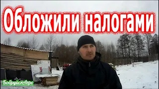 Мои налоги в КФХ. Часть 1