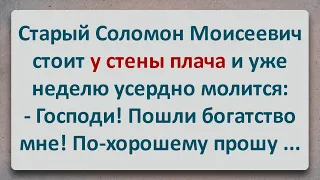 ✡️ Старый Соломон Моисеевич у Стены Плача! Еврейские Анекдоты! Анекдоты про Евреев! Выпуск #161