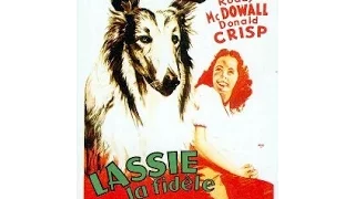 La fidèle Lassie