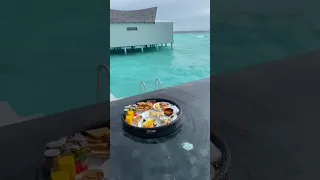 🇲🇻 Floating Breakfast #shorts#floatingbreakfast#maldives#beach#resort