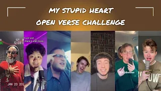 My Stupid Heart OPEN VERSE CHALLENGE #walkofftheearth #tiktokviral #mystupidheart