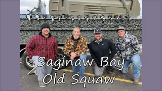 Saginaw Bay Old Squaw