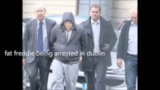 the irish mafia