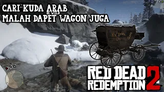 Red Dead Redemption 2 | Cari kuda paling bagus di wild (ARABIAN WHITE HORSE)