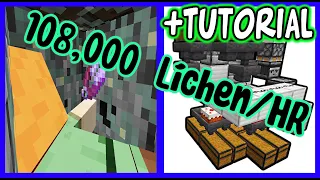 INSANE Glow Lichen Farm! + TUTORIAL