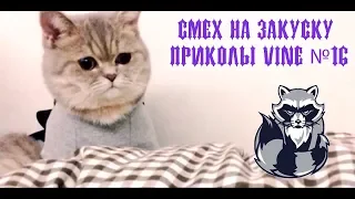 Смех на закуску приколы VINE №16