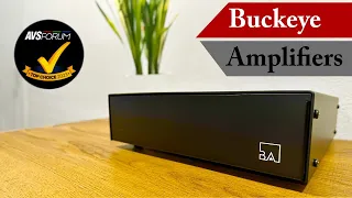 Are Buckeye Amps The Best You Can Buy? Dylan Thinks So!