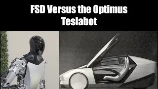 Which Will Have More Impact FSD or Teslabot? 2024? 2030? 2040?