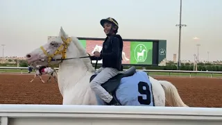 فوز سعد فالمركز الأول فالسباق التجريبي في ميدان الملك عبدالعزيز فالرياض😍🐎👏🏻