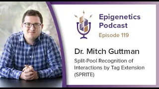 Epi Podcast #119 - Split-Pool Recognition of Interactions by Tag Extension (SPRITE) - Mitch Guttman