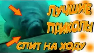 Смешные видео приколы инстаграма Funny videos of instagram 2020😎 #6