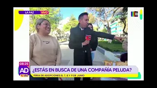 ¿Estás en busca de una compañía peluda?