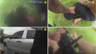 Crime expert weighs in on viral video showing forceful arrest of Jacksonville man