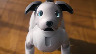 Living with aibo