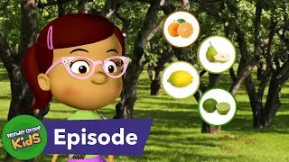 Where Do Fruits and Vegetables Come From? S4 E2