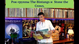 The Bintangs и  Stone the Crows. Обзор альбомов   из моей коллекции винила. История групп.