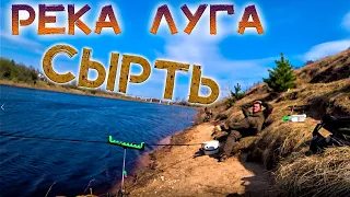 РЕКА ЛУГА ловим СЫРТЬ ранняя ВЕСНА