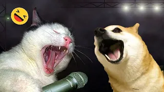 Funniest Dogs And Cats Videos ðŸ˜… - Best Funny Animals Videos 2023ðŸ˜‡ #8