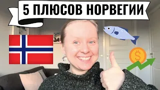 ПЛЮСЫ НОРВЕГИИ: МОИ ТОП-5. ЧТО ВЫГОДНО ОТЛИЧАЕТ ОТ ФИНЛЯНДИИ И ШВЕЦИИ? КУЛЬТУРА ОБЩЕНИЯ. ЭКОНОМИКА.