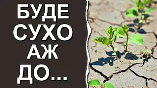 Коли в Україні підуть дощі: Погода у травні 2023