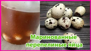 Маринуем перепелиные яйца  Маринованные яйца