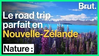 Le road trip parfait en Nouvelle-Zélande
