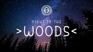 Night in The Woods 🌲⭐| Indie/Pop/Folk Playlist