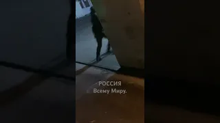 РОССИЯ с Любовью.