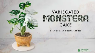 NEW ONLINE COURSE - Variegated Monstera Cake - ON SUGAR GEEK SHOW