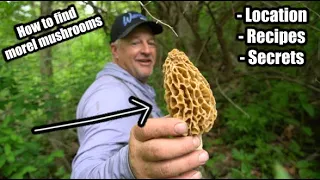 Morel Mushrooms Hunting (Beginner Tips)