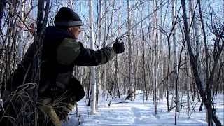 Как насторожить волчью петлю.