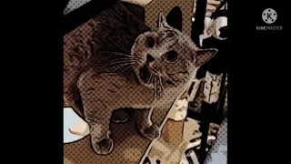 Alugalug cat song- FL3X remix