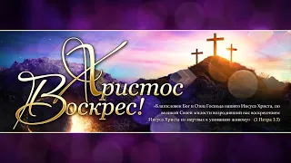 17.04.2022 | Пасхальное Богослужение | Станем свидетелями воскресения