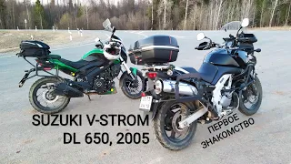 🟢 SUZUKI V-STROM DL 650 первое знакомство. Сравнение с BAJAJ DOMINAR 400